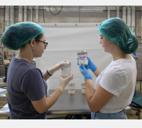 研究酵母发酵剂微生物组以提高面包质量和安全性