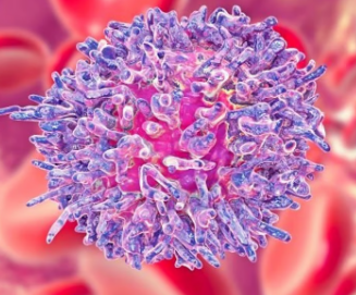 FDA批准首个针对成人白血病或淋巴瘤的CART细胞疗法