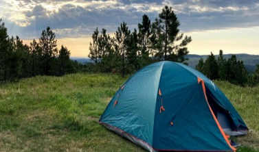 近三分之二的露营者免费露营