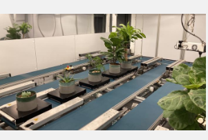 博伊斯汤普森研究所推出最先进的植物高通量表型分析设施